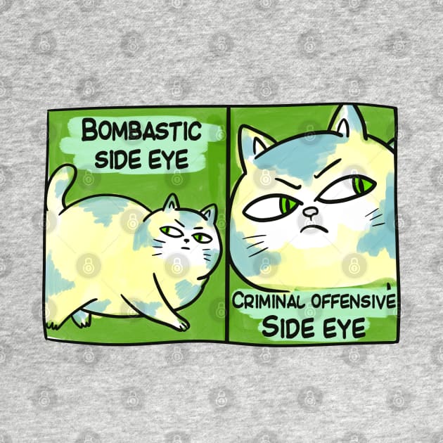 BOMBASTIC SIDE EYE FUNNY TIKTOK CAT MEME by Aydapadi Studio